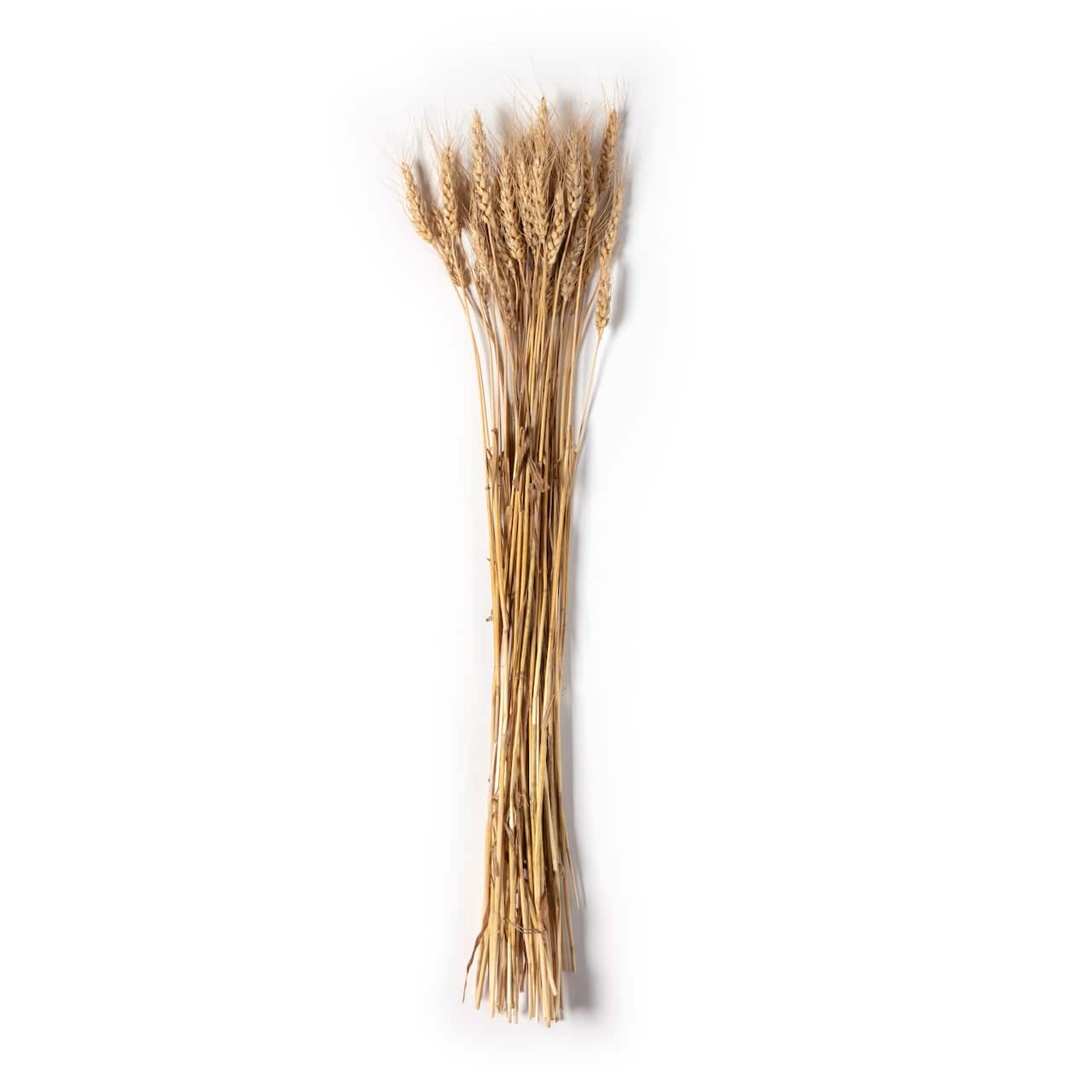 Ashland® Natural Wheat Bunch